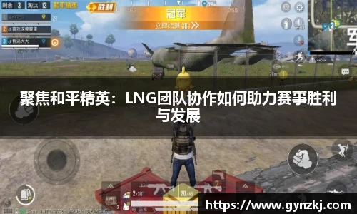 聚焦和平精英:LNG团队协作如何助力赛事胜利与发展
